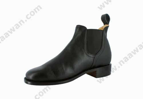 New-Gator-Stock_500_with_border