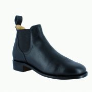 New-Gator_800_01
