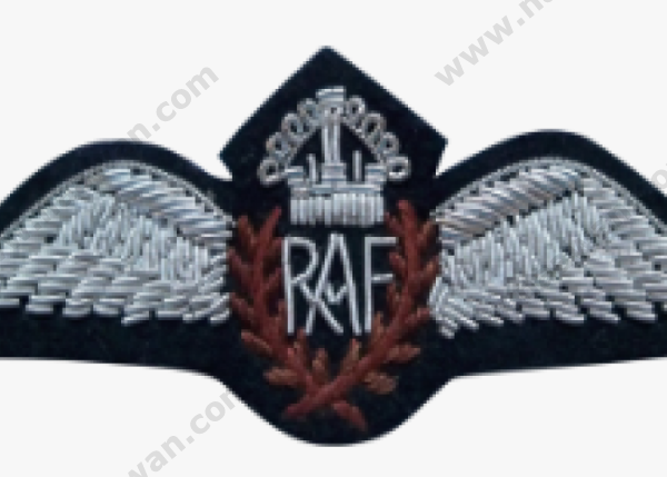 302-3020121_raf-pilot-wings-hand-embroidered-wings-hd-png